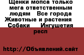 Щенки мопса только мега-ответственным людям - Все города Животные и растения » Собаки   . Ингушетия респ.